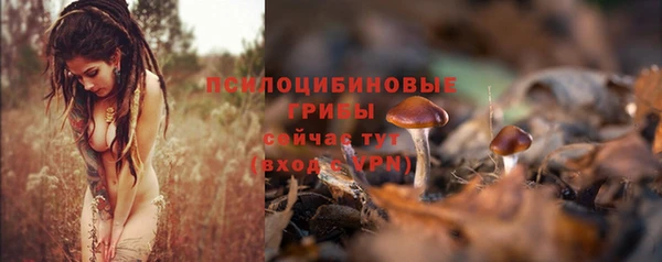 таблы Елизово