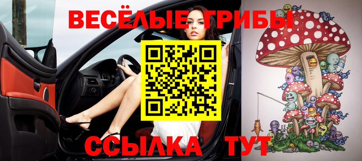 Кыштым  хочу наркоту  Вход с VPN  Псилоцибиновые грибы GOLDEN TEACHER 